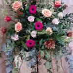 Flowers 11