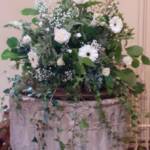 Flowers 6