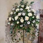 Flowers 9